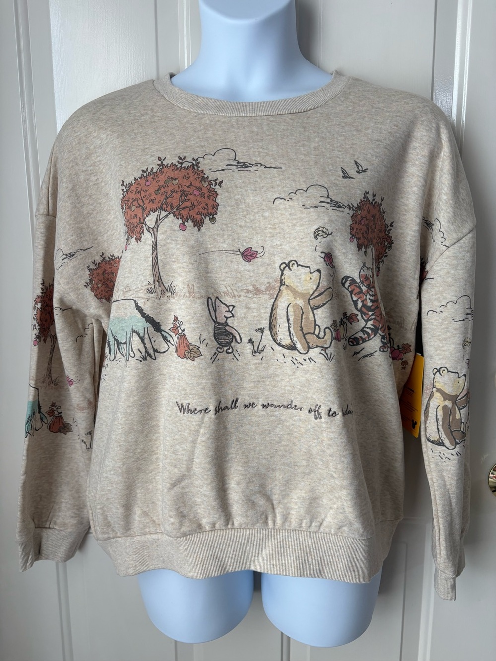 Winnie-the-Pooh Graphic Crewneck Sweatshirt ~ Size Large
